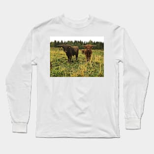 Scottish Highland Cattle Bulls 2079 Long Sleeve T-Shirt